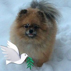 Meet your Posher, Betty